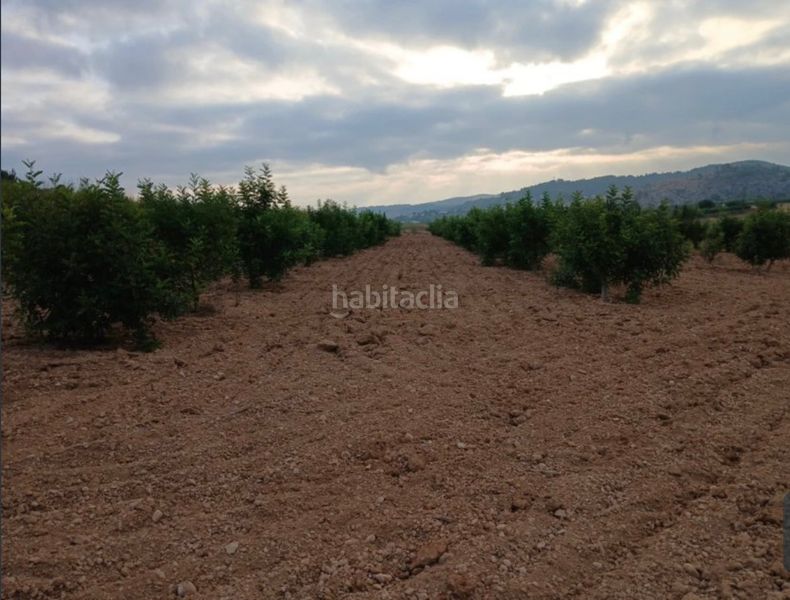 Foto ed1d8a2f-d5e6-40d4-844a-70335ab405b9. Finca rústica a llano de la paridera 576 a Real de Montroi