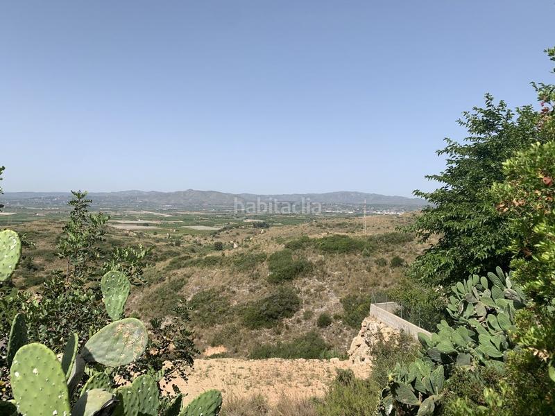 Foto fd3b24bd-7cd0-4b5d-957c-8596e5a9fd29. Terreno residencial en Alginet