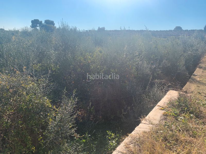 Foto bb207e58-c5ed-4387-b392-6e6e25e5b270. Finca rústica a Picassent