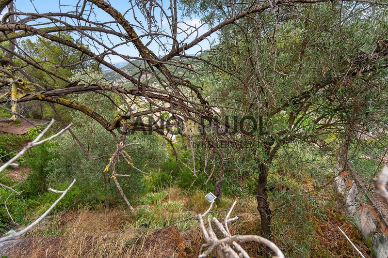 Foto 55b5ec79-907b-47a0-9ea3-3d0698872cfc. Casa amb aparcament piscina a Vallirana