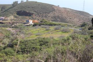 Finca rústica  Camino josé díaz y díaz. Terreno en el rosario