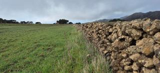 Rural plot  Hi-1. Terreno rstico en el hierro