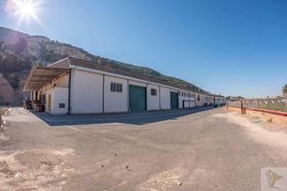 Nau industrial a Desamparados - Hurchillo - Torremendo. Orihuelanave