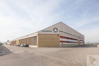 Btiment  usage industriel en Alcdia (l). Alcdia lnave