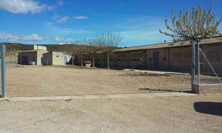 Industrial building  Partida les covetes