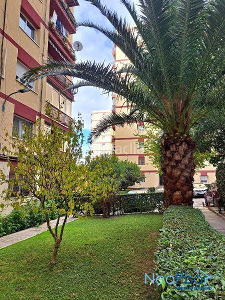 Foto 13d722b1-ba64-44cc-8aea-ae085e7aa58d. Piso en Parque Mayor Alcorcón