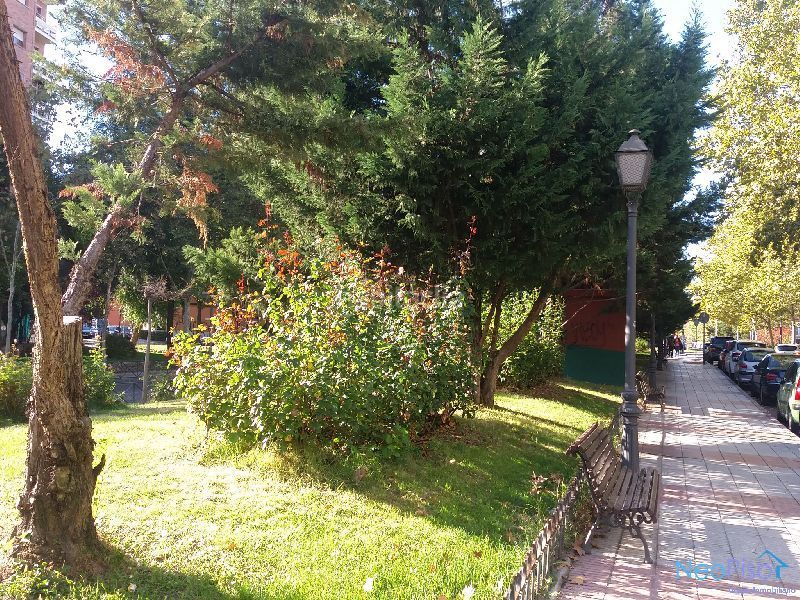 Foto 2092db8d-9c10-4c98-860c-6ee2ffb8e175. Pis a Parque Lisboa-La Paz Alcorcón