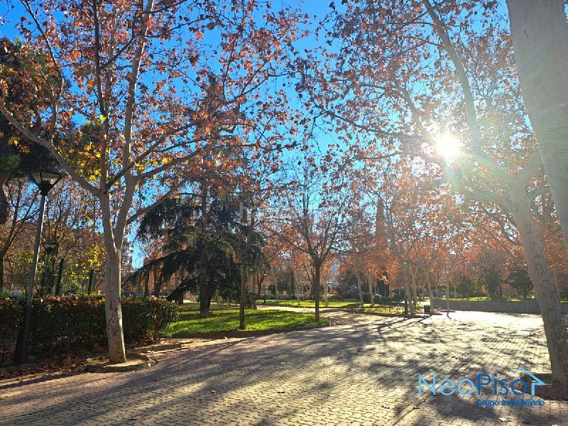 Foto ac242810-dddb-4a51-bf4d-cec549d28e57. Pis a Parque Lisboa-La Paz Alcorcón