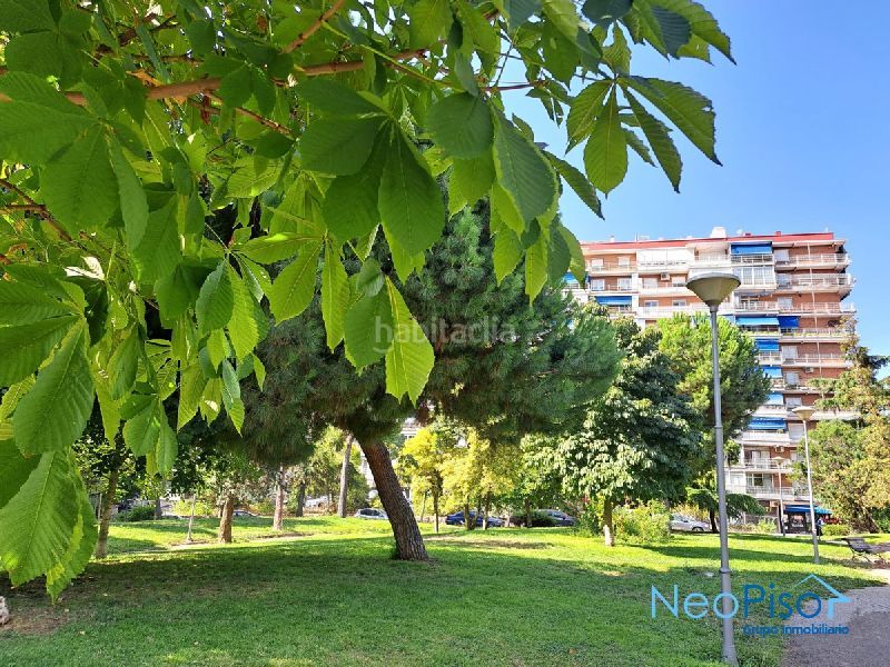 Foto e3222d65-1a8a-4afe-81d8-8fd8b821ff97. Pis a Parque Lisboa-La Paz Alcorcón