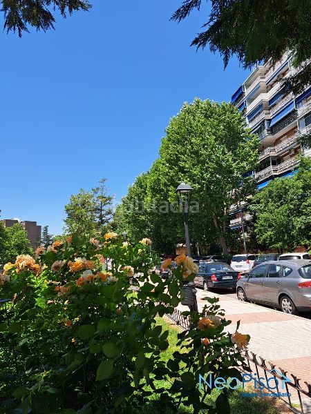 Foto 7e16b488-8104-417c-a520-a41b91a0e67e. Pis a Parque Lisboa-La Paz Alcorcón