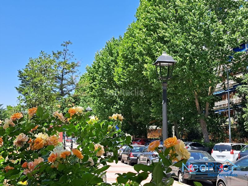 Foto a155f78e-a43d-405a-8ab4-be488e03960e. Pis a Parque Lisboa-La Paz Alcorcón