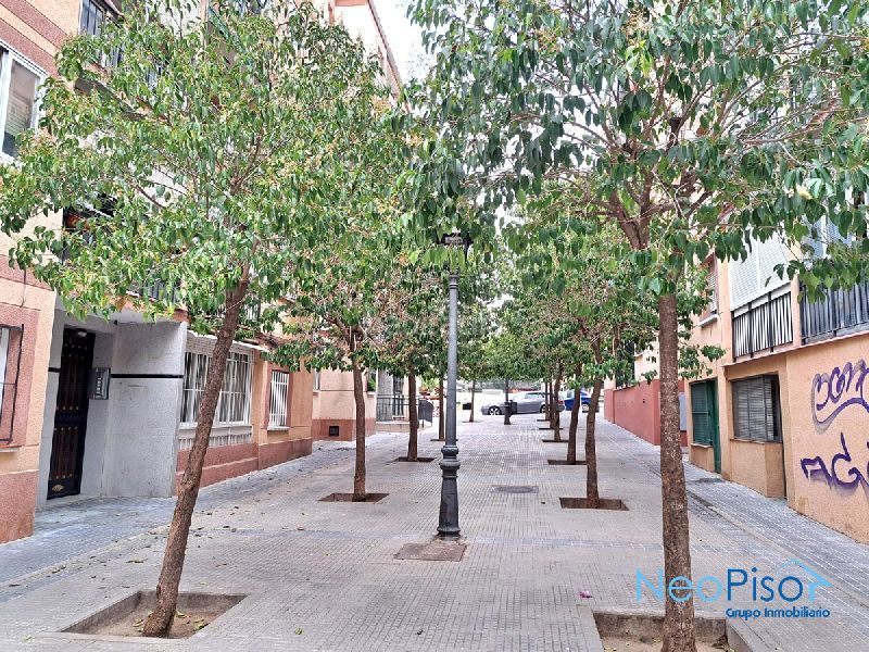 Foto b78d9ac7-15ef-4830-8634-d51960cd8917. Pis a Casco Antiguo Alcorcón
