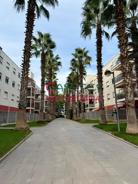 Foto aa355a95-de0a-4e42-800c-fe85696a7673. Ground floor with parking pool in Riba - roja de Túria