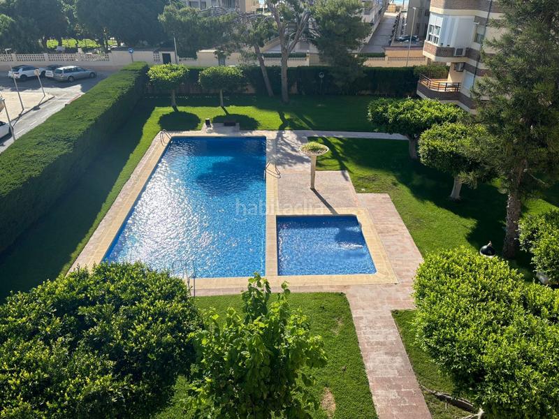 Foto 694fa3ac-5343-40b8-83de-47458887a246. Affitto appartamento con piscina in Playa Muchavista Campello (el)