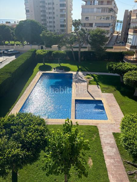 Foto 9b3af487-f2fc-434c-8de9-db4351aa4da3. Lloguer pis amb piscina a Playa Muchavista Campello (el)