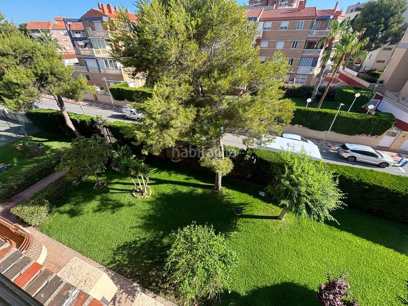 Foto e1a09a4a-2002-4ee5-a5f5-2873ed4ffe45. Lloguer pis amb piscina a Playa Muchavista Campello (el)