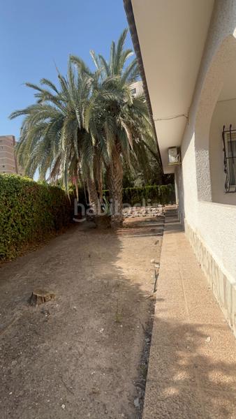 Foto 1cd6a0d6-a8ac-4044-880d-e4bd2f744979. Casa amb calefacció a Playa Muchavista Campello (el)