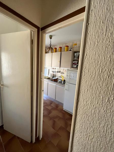 Foto d4493053-f87a-4700-9aef-122a7a1110e2. Pis a Playa Muchavista Campello (el)