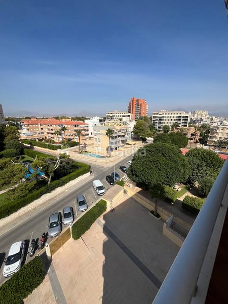 Foto fe8e362d-b89e-4ccc-a6ba-935d33e12330. Pis a Playa Muchavista Campello (el)