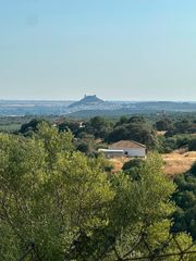 Xalet a Almodóvar del Río. Parcela de 7500 m2 con casa, piscina, huerto y olivos no hipotec