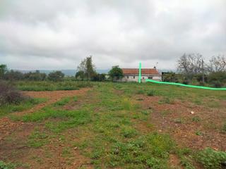 Rural plot in El Higuerón