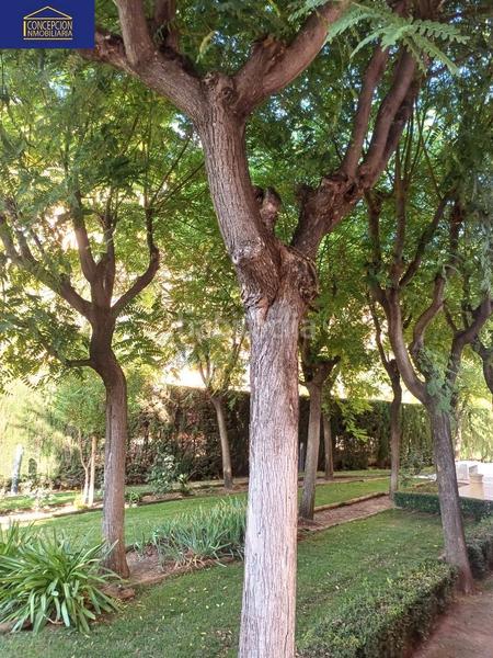 Foto 02c052c2-b479-41e4-b808-50dd85c950a8. Alquiler piso en Ciudad Jardín - Zoco Córdoba