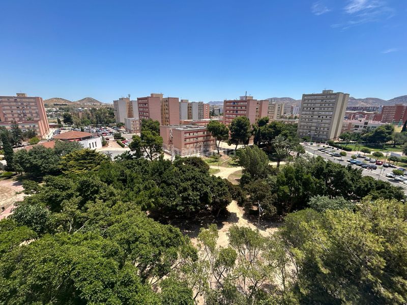 Foto 29d59512-1049-4cf1-b9d3-86866f415b85. Pis a Ensanche Cartagena