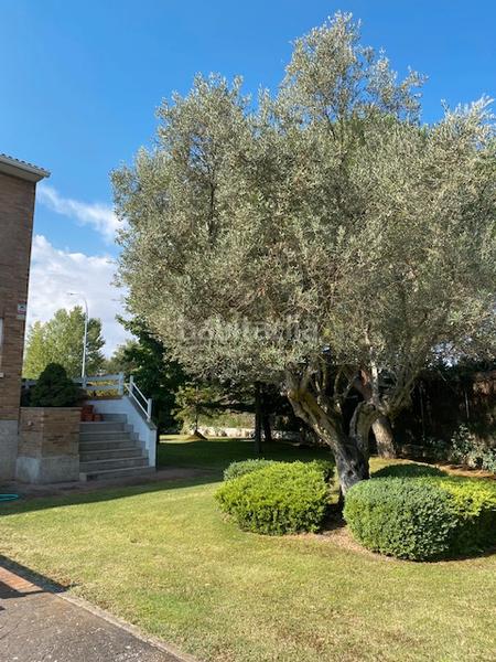 Foto c50f75c6-4e61-4147-937f-3935dee9d548. Chalet mit kamin heizung parking pool in Santa Marta de Tormes