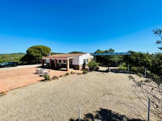 Mas à Adamuz. Finca de recreo en adamuz inversión ideal para turismo rural o s