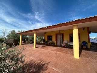 Propriété à Montoro. Finca rústica en montoro con vivienda y olivar productivo  gran