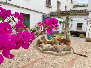 Miete Etagenwohnung in Centro. Piso con cochera en judería córdoba  alta demanda  ubicación pre