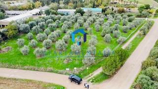 Finca rústica a El Higuerón. Venta de parcelaterreno de 5000 m2 en hipercorcarretera de trass