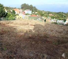 Residential Plot in Calle cecilio marrero 12