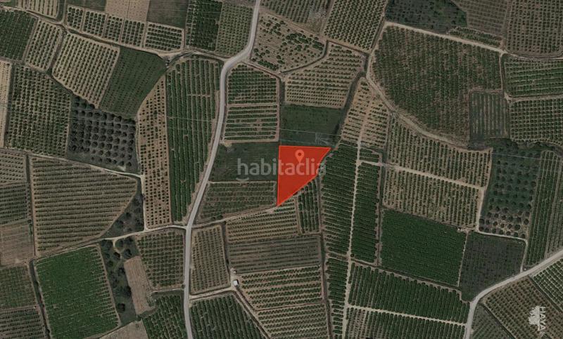 Foto c4107422-fcb6-4ca0-8a9a-db9d501d46fa. Fondo rustico in plaça de l'om 27 in Catadau