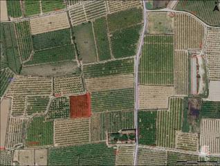Rural plot in Plaça de l'om 27
