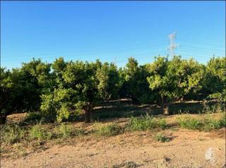 Finca rústica a Plaça de l'om 27