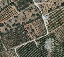 Rural plot in Carrer sant jaume 2