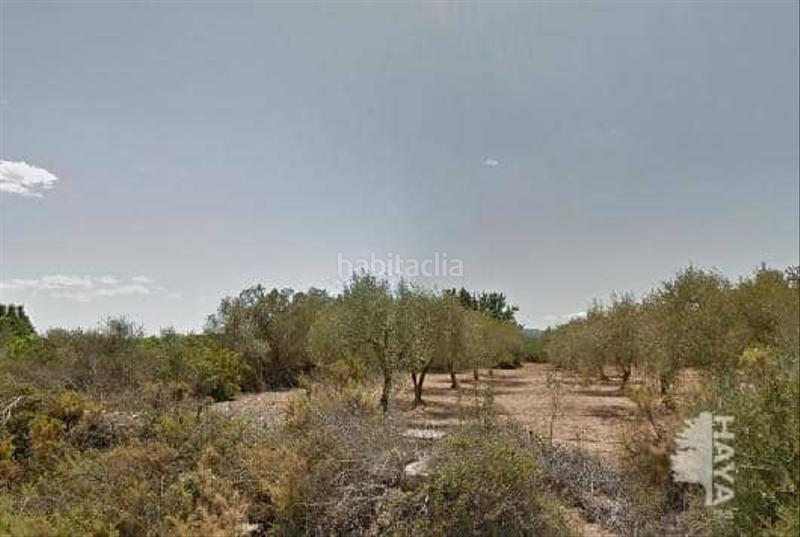 Foto 31a406e1-d815-469e-94f9-68506ac894ec. Finca rústica en carrer sant jaume 2 en San Jorge