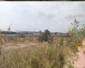 Area edificabile urbana in Avinguda catral 34. Solar urbano