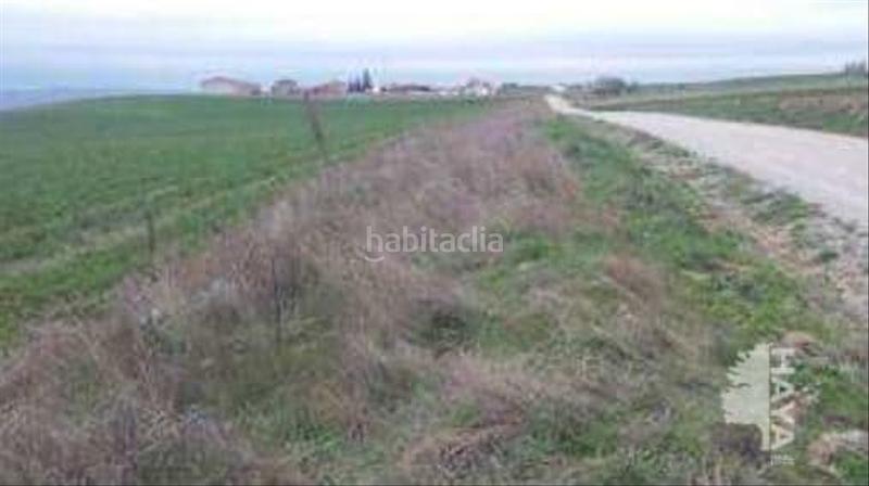 Foto 1341494a-9ac3-41d5-8662-0fec188ab052. Finca rústica en calle real baja 23 en Membrillera