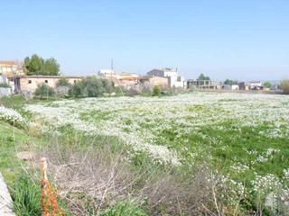 Terreny residencial a Carrer de lluís companys 7