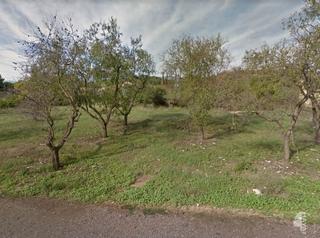 Wohngrundstück in Carrer cid 14