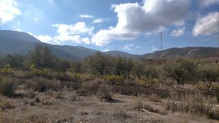 Residential Plot in Calle la bolsa 3