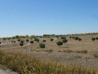 Residential Plot in Calle de la iglesia 20