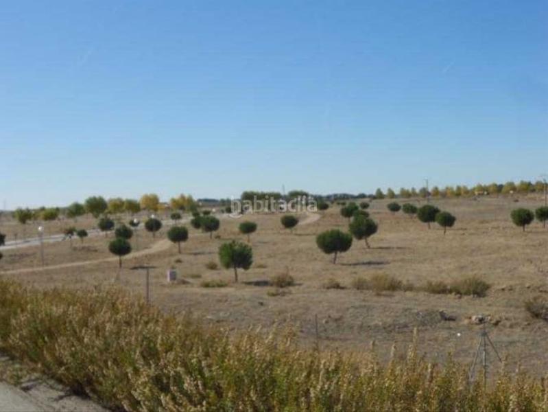 Foto e5841c45-d9bd-4635-8d5d-4b9bb4684f1a. Terreno residenziale in calle de la iglesia 20 in Horche