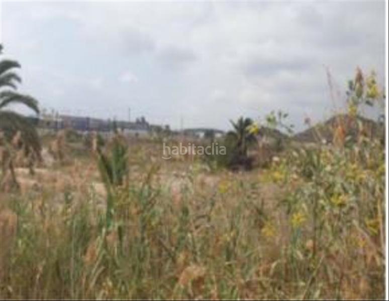 Foto 58bc1c71-99ba-4362-91f9-7ed681800660. Terreny residencial a avenida de catral 40 a San Isidro