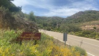 Rural plot in Calle san gregorio 3