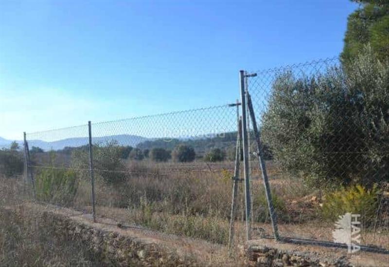 Foto 6535fba3-fd19-4120-8a64-e203006b5c25. Finca rústica en carrer l'olivera 33 en Useres (les)