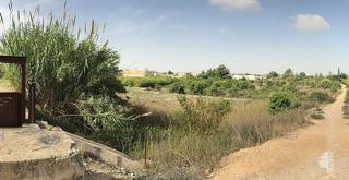 Rural plot in Avenida de la Constitución 1