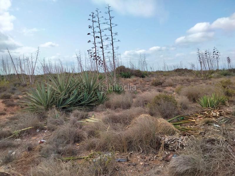 Foto 9e2e2f72-88ae-431c-99b8-1dda69384348. Finca rústica a Barrio Alto - San Félix Almería